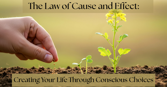 The Law of Cause and Effect:  Creating Your Life Through Conscious Choices