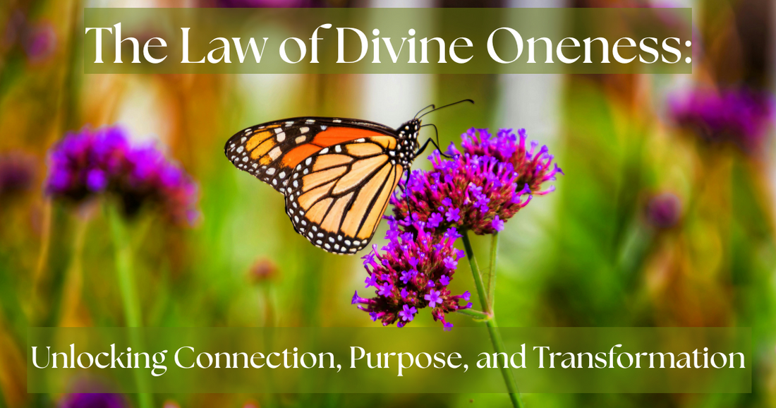 The Law of Divine Oneness:  Unlocking Connection, Purpose, and Transformation